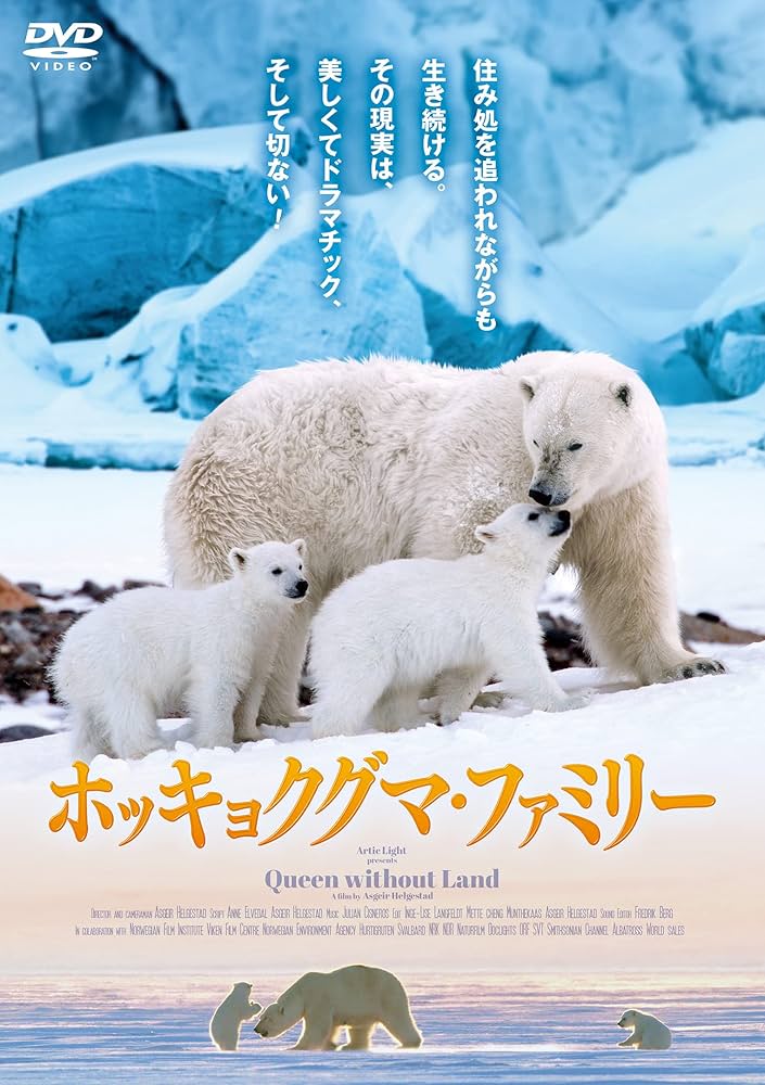 Amazon.co.jp: ホッキョクグマ・ファミリー : アスゲイル